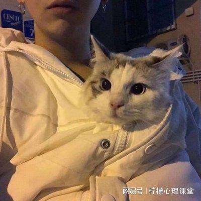 武侠大宗师顶级公益服下载